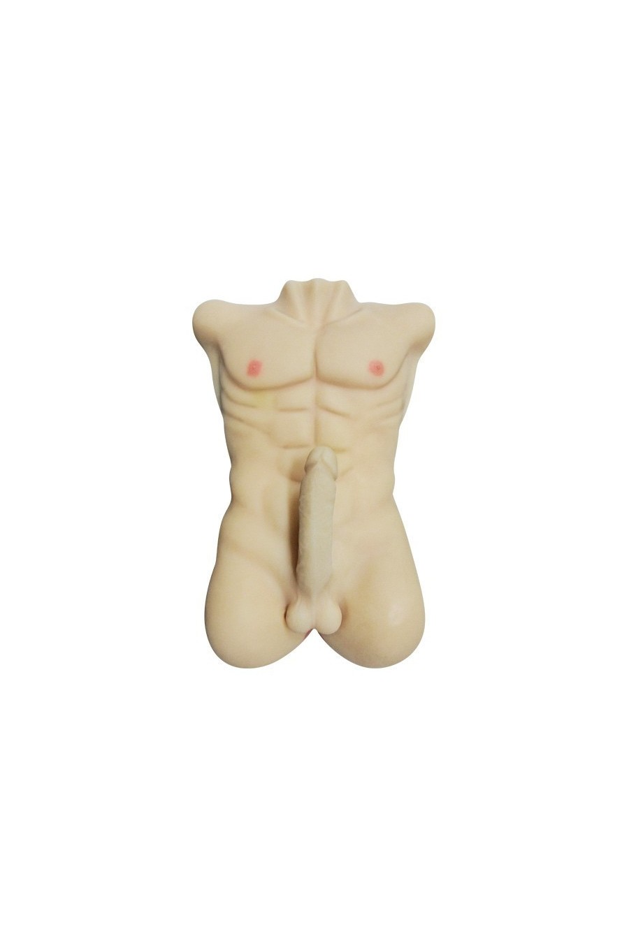 Torso Masculino con Pene y Ano Realista