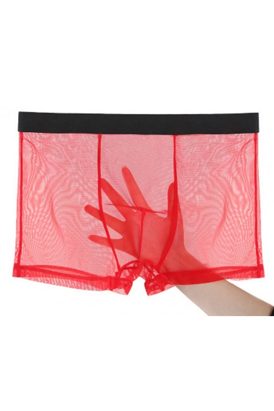 Boxer Transparente colores