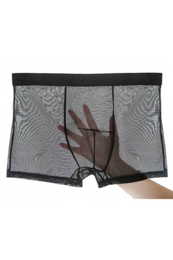 Boxer Transparente colores