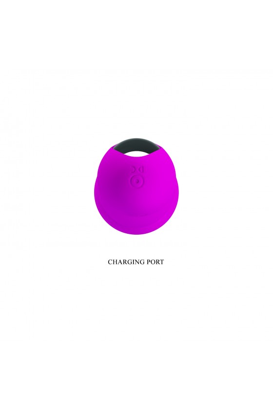 Vibrador Tipo Micrófono Recargable Pretty Love - Paul