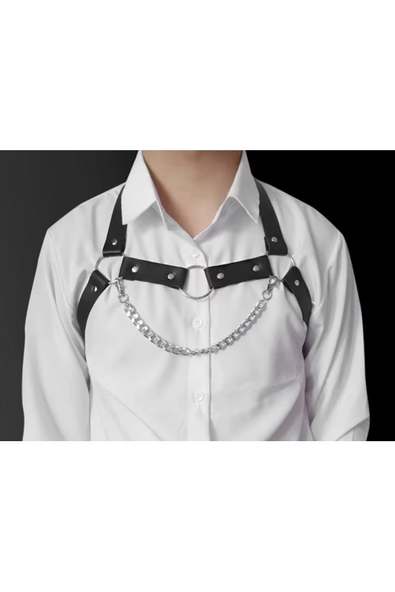 Arnes Masculino de Pecho Ajustable