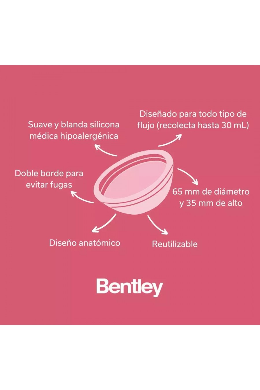 Disco Menstrual Bentley Reutilizable