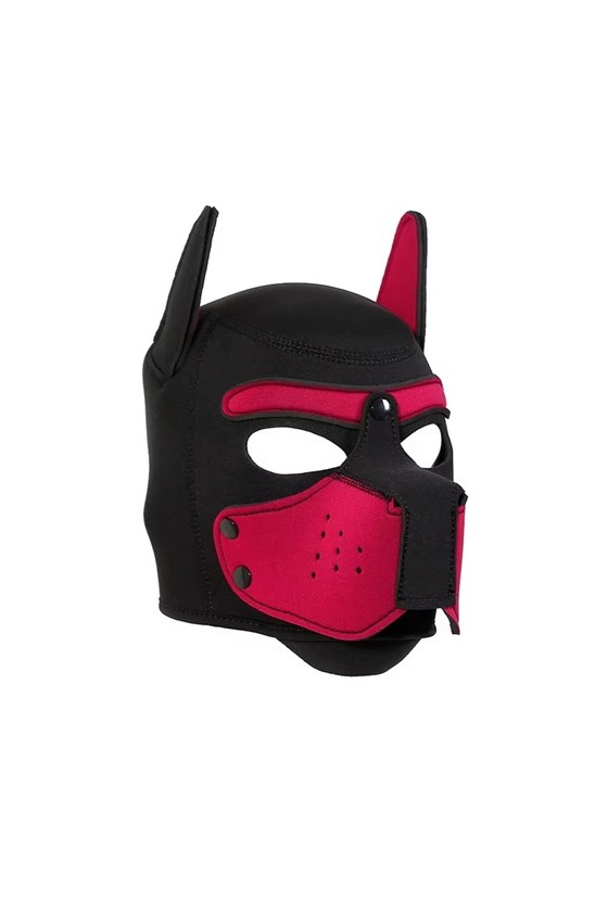 Mascara Perro Puppy Colores