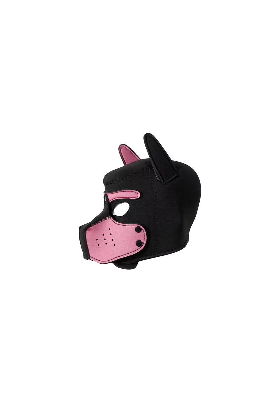 Mascara Perro Puppy Colores