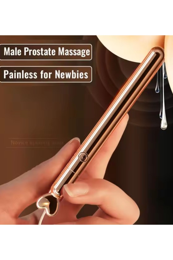 Mini Vibrador Anal Recargable Usb